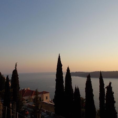 Apartment Matea Zlatni Potok Dubrownik Zewnętrze zdjęcie